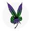 highvendor.com