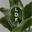 ldfsilk.myshopify.com
