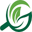 organicmediagroup.org