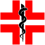 pzsolesnica.pl