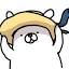 shirokumahouse.net