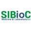 sibioc.it