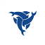 watersportsdolphins.com