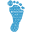 binocar.org