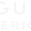 deguiseinteriors.com