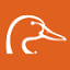 ducks.org