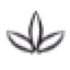 euphidra.com