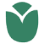 euroleague-study.org