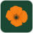 flowermartmonterey.com