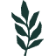 ivyandgreen.com