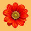 proflowers.ru