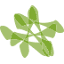sdix.com