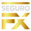 segurofx.com