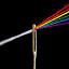 truecolorsembroidery.com