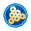 webpathology.com
