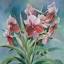 aafinearts.com