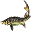 caviar-market.com
