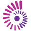colourvue-lens.com