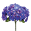 duetsj.com.pl