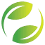 ecoberingin.com