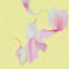 freelyfloral.ca