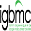 igbmc.fr