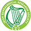 irishancestors.ie