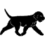 lagottoklubb.org