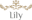 lily-sa.com