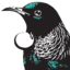 nzmeb.org