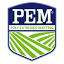 pemsurface.com