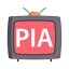 privateiptvaccess.com