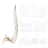 scc-sy.com