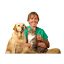 theonlinevet.com