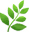 theplanty.com