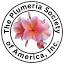 theplumeriasociety.org