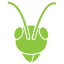 allpestsolutionsinc.com