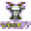 badanie.net