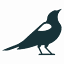blackbird.digital