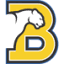 bummart.ru