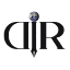 dirconsultant.com