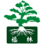 fooklamshop.com.hk