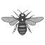 frodsham.gov.uk