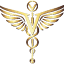 numalemedical.com