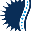 pennspineandortho.com