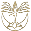 phoenixbodhiwellness.com