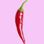 pinkchili.io