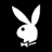 playboycasino.com