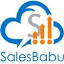 salesbabu.com