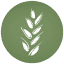 sistercarmen.org